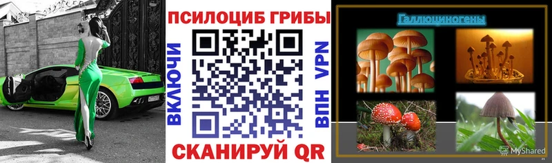 даркнет сайт Мостовской Псилоцибиновые грибы ЛСД